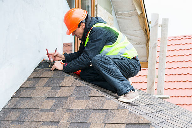 Best Roof Gutter Cleaning  in Elsberry, MO