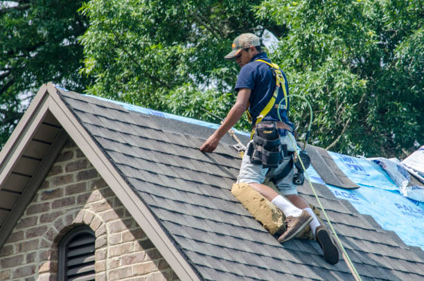 Best Storm Damage Roof Repair  in Elsberry, MO